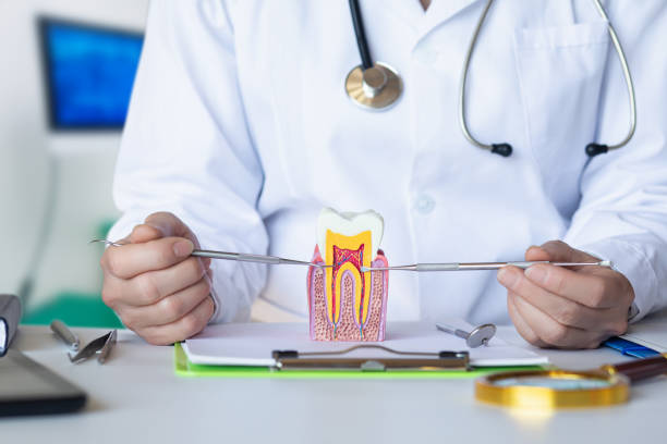Best Orthodontic Emergency Dentist in Thermalito, CA